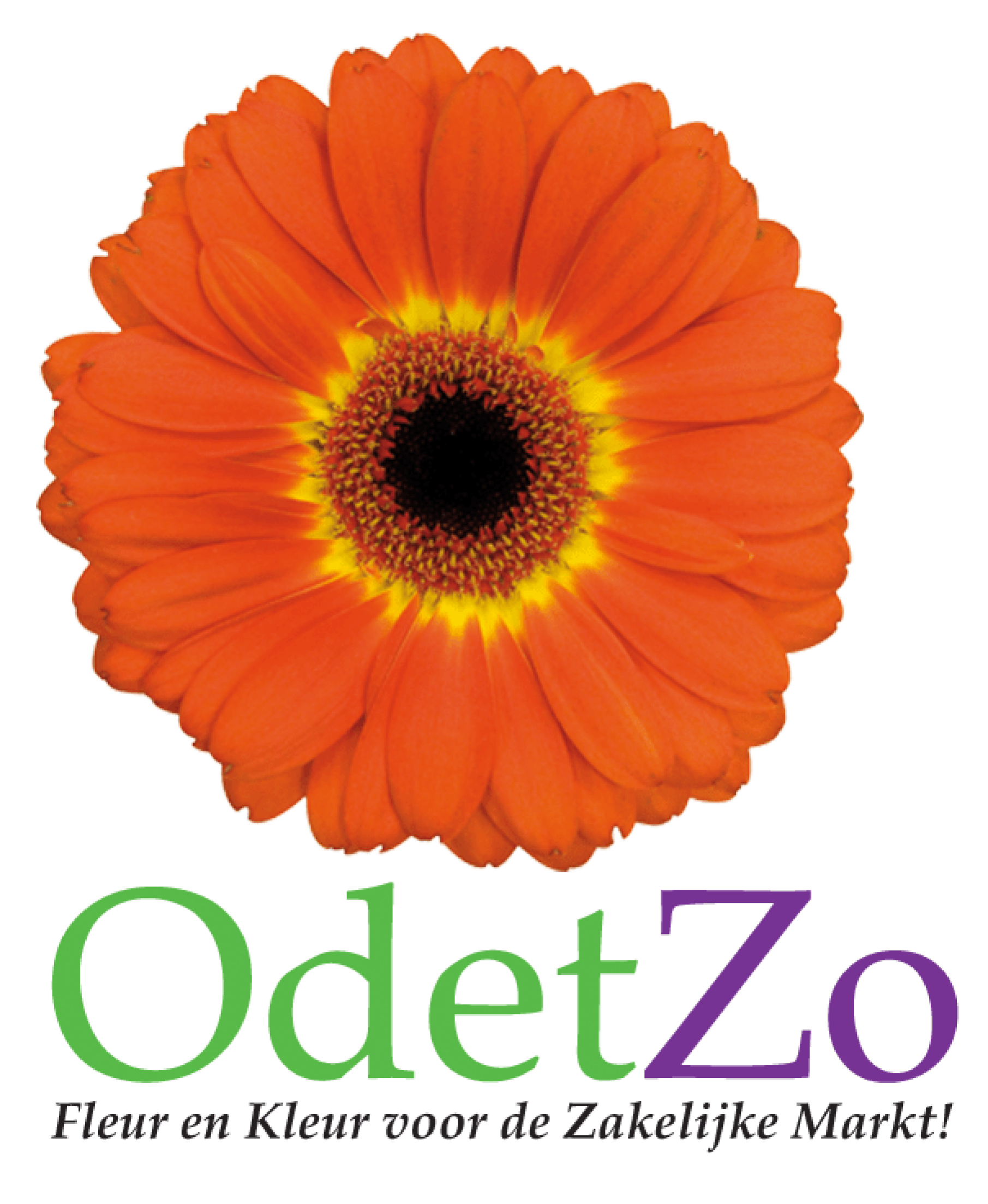 OdetZo-Logo.png