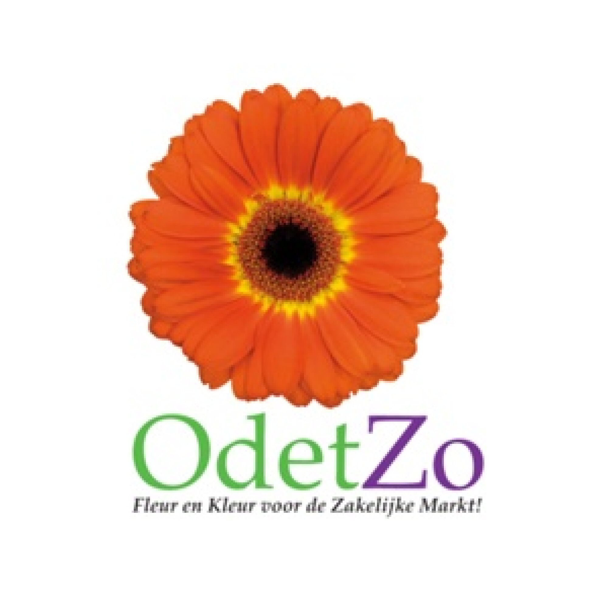 OdetZo-Logo-246x300-1.jpg