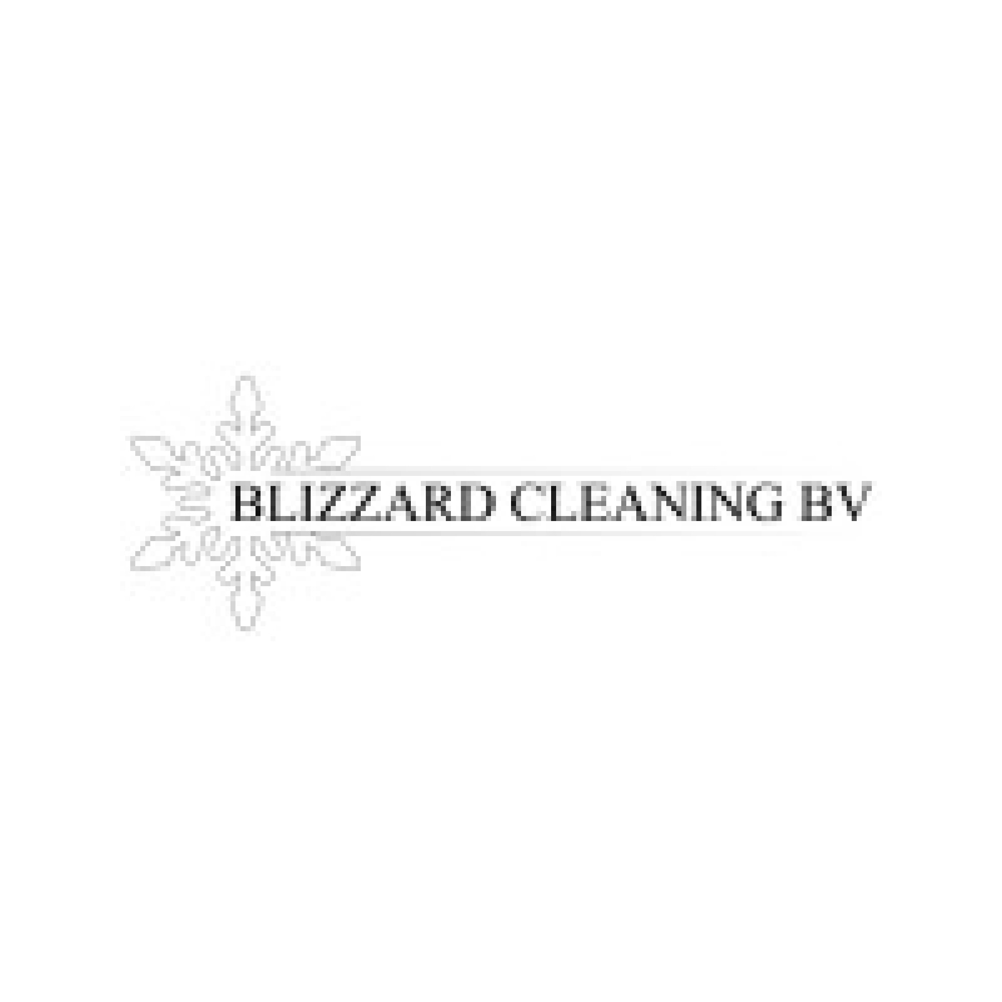 Blizzard Cleaning