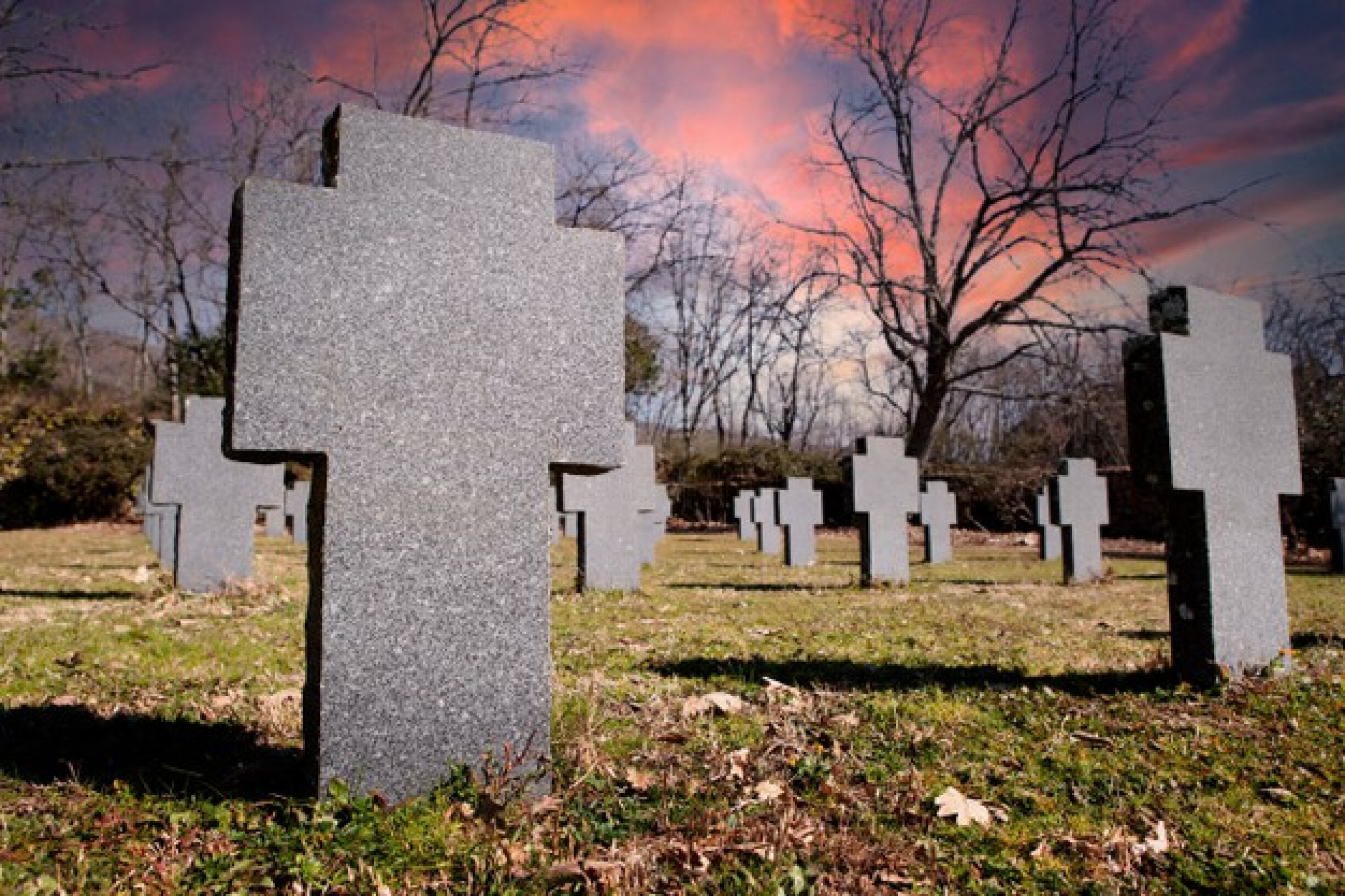veld-vol-met-witte-granieten-stenen-kruisen-memorial-begraafplaats-eerbetoon-aan-gevallen-soldaten-58409-22572.jpg