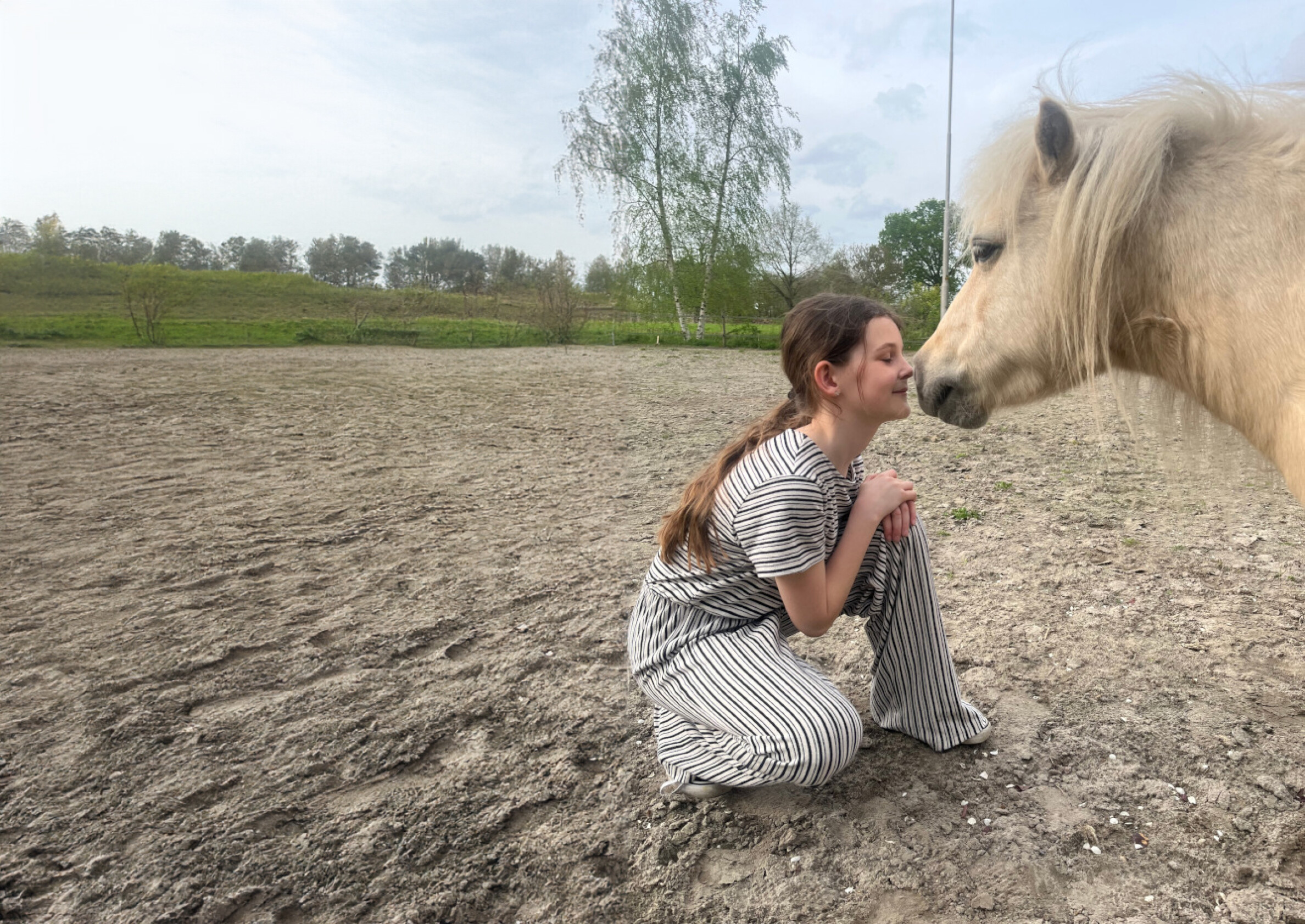 rouwbegeleiding-met-paard.jpg