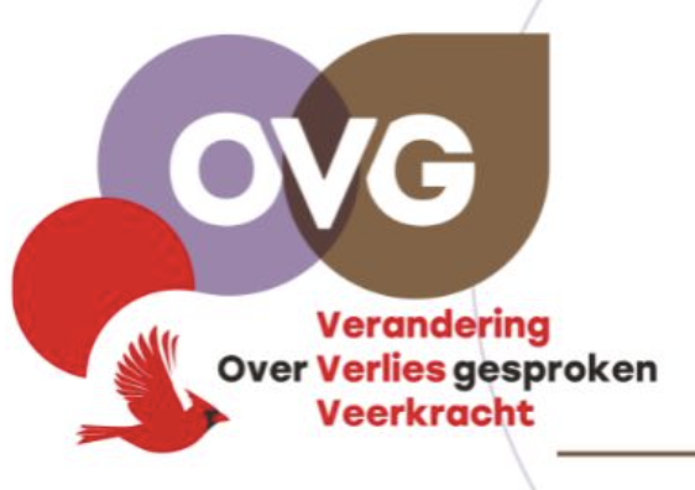 OVG Coaches Nederland