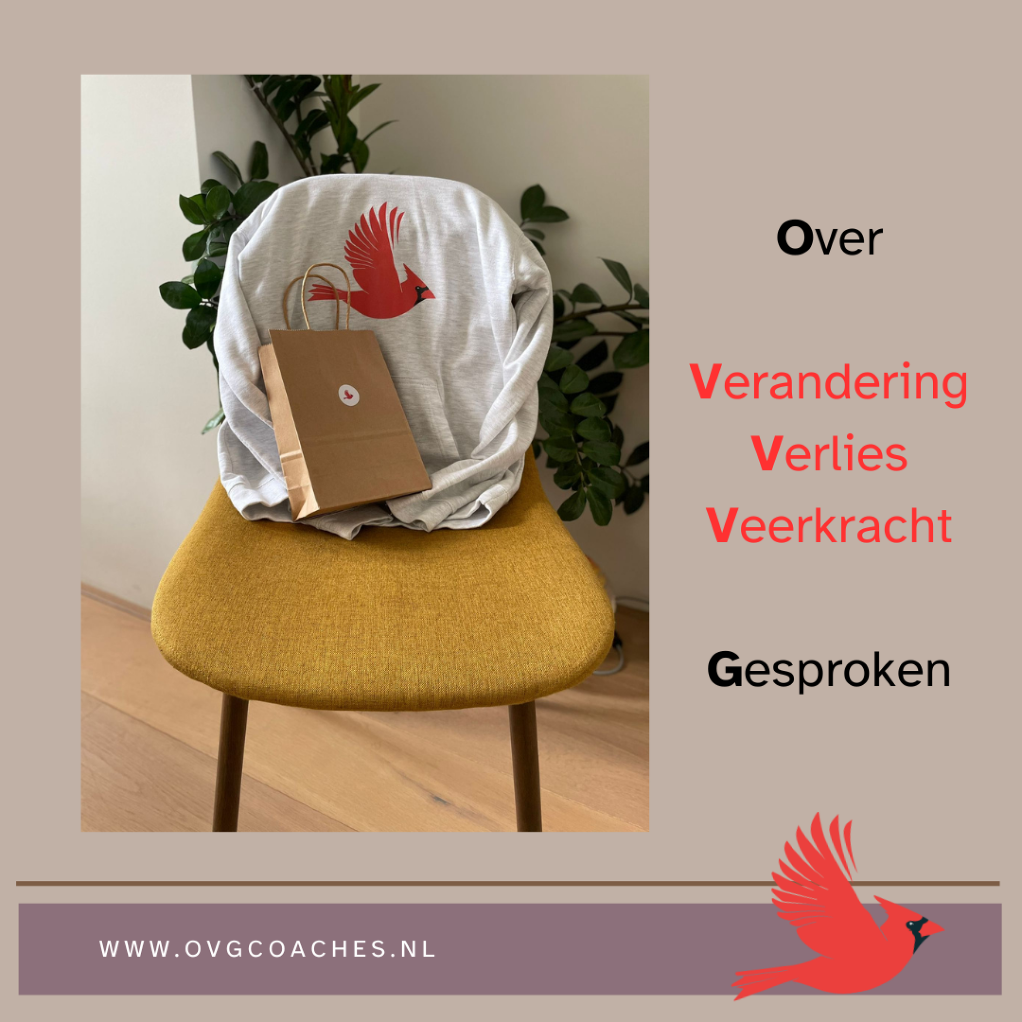 Kopie-van-Instagram-OVG-template.png