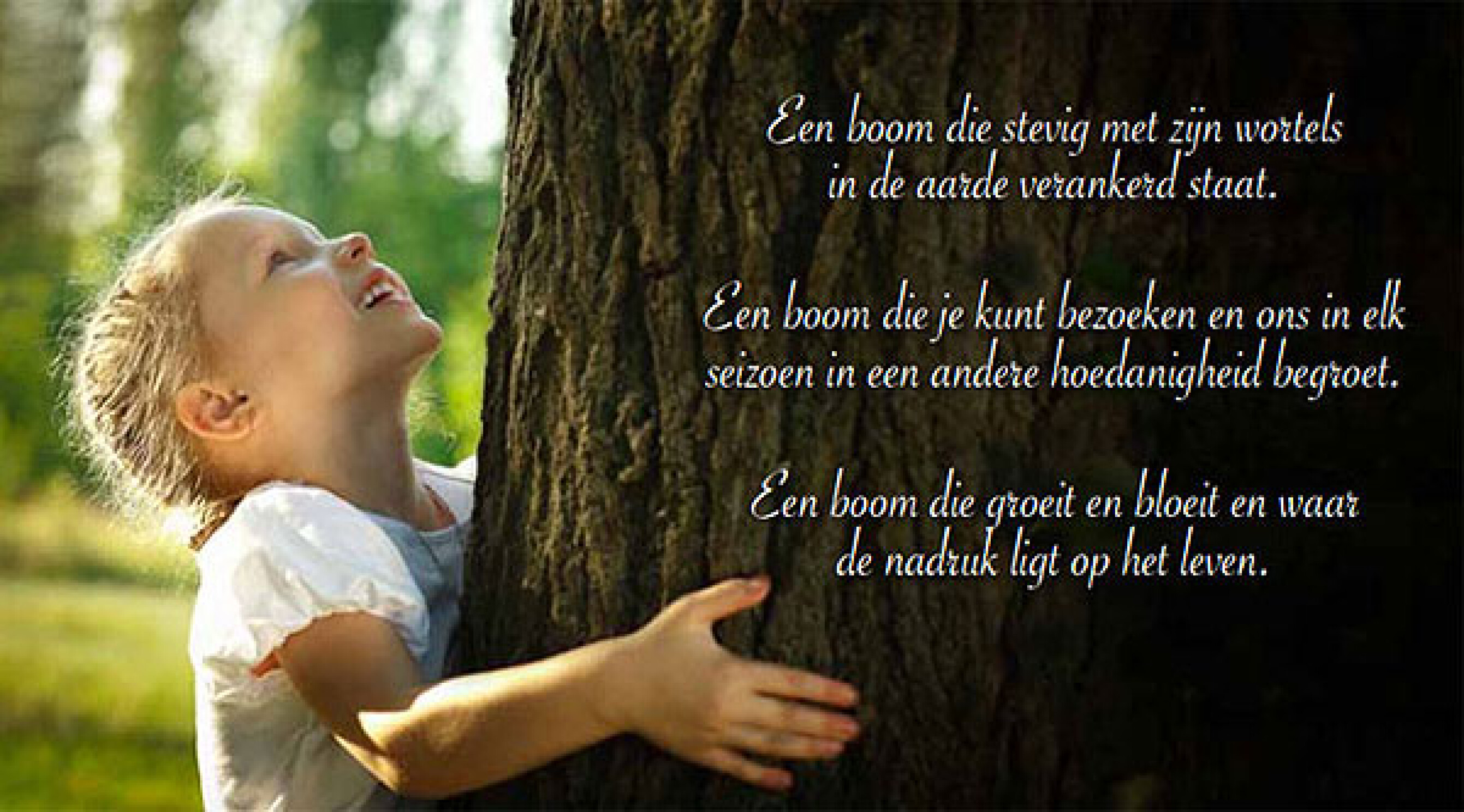 Mijn Boom kweekt herinneringsbomen