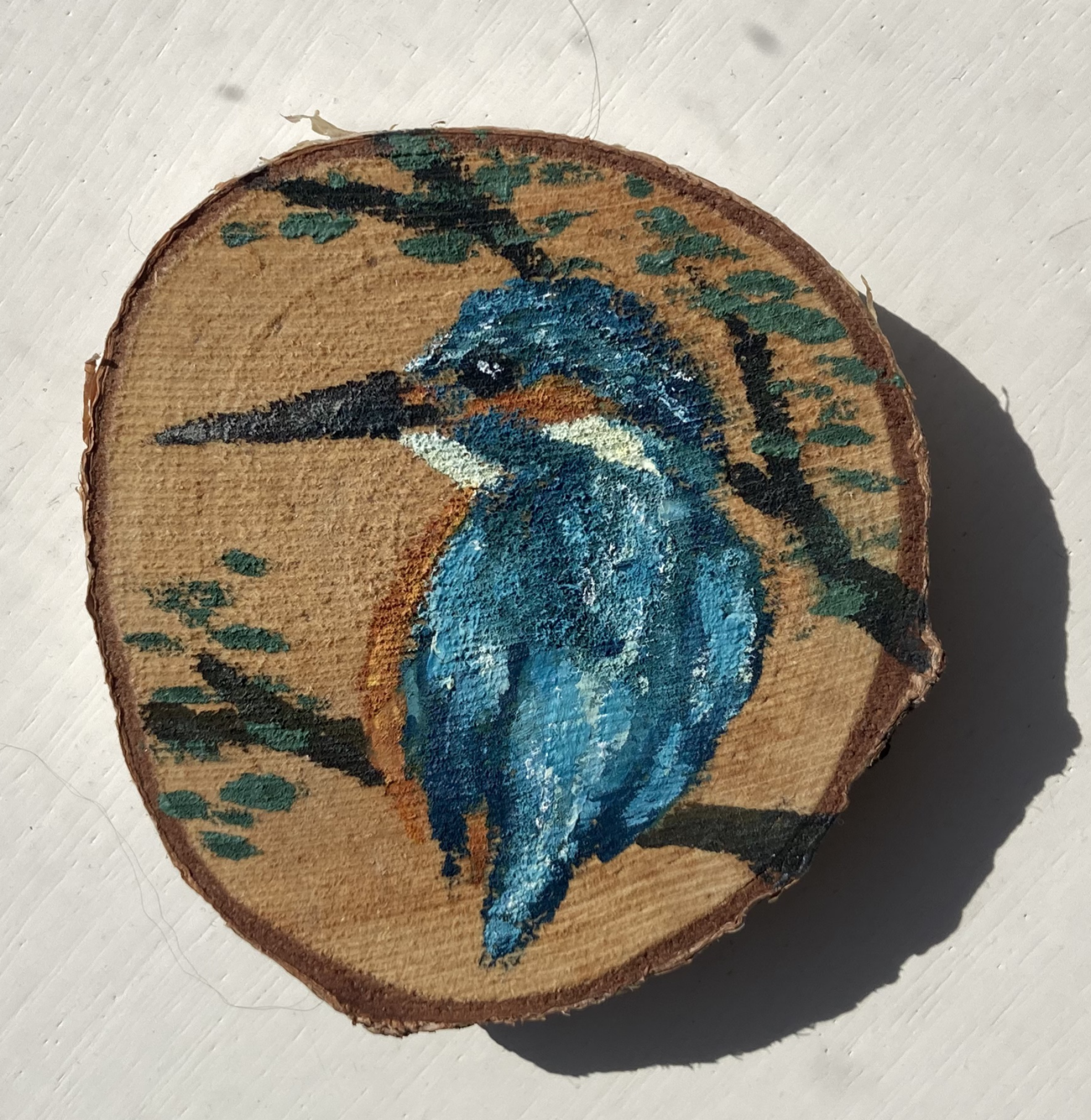 hout-ijsvogel-png.png