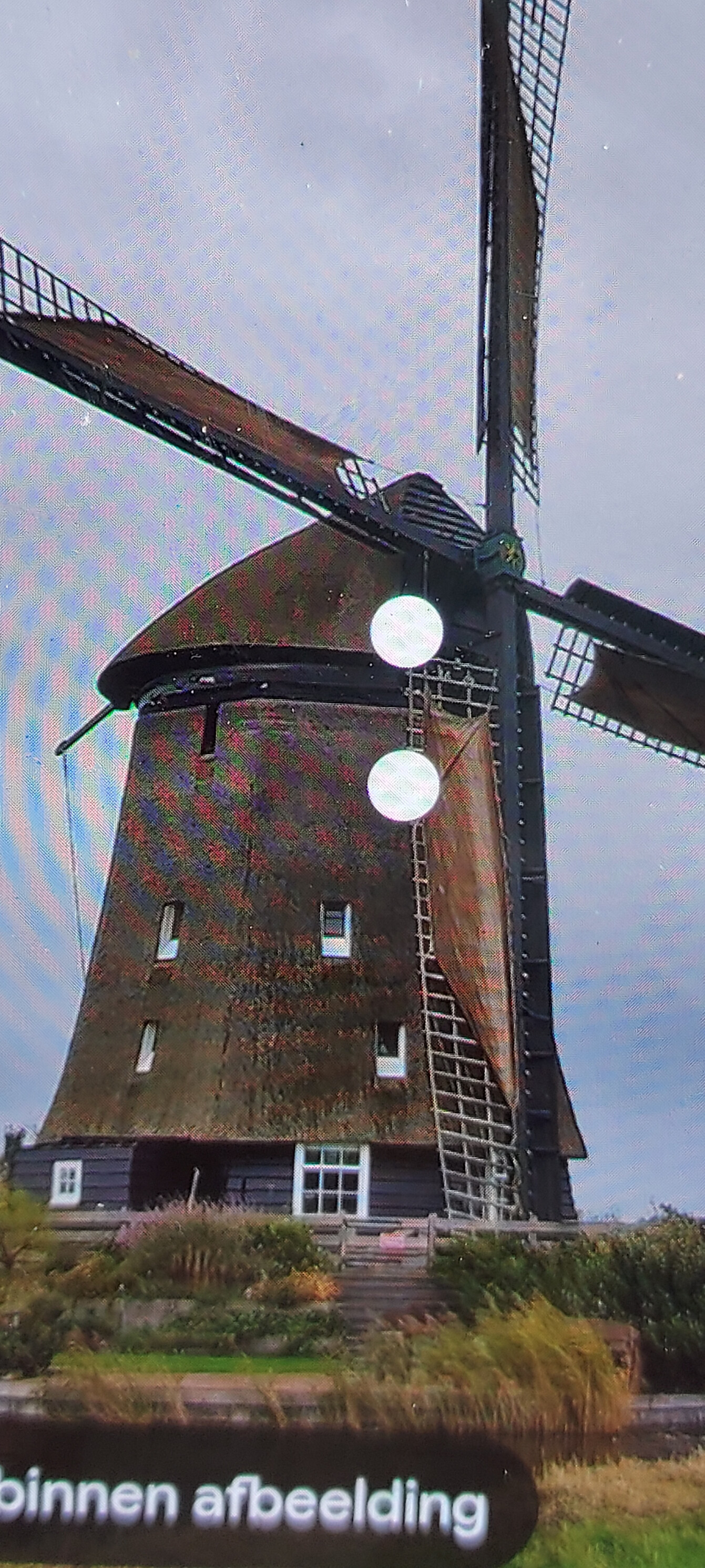 20250321_172718.jpg