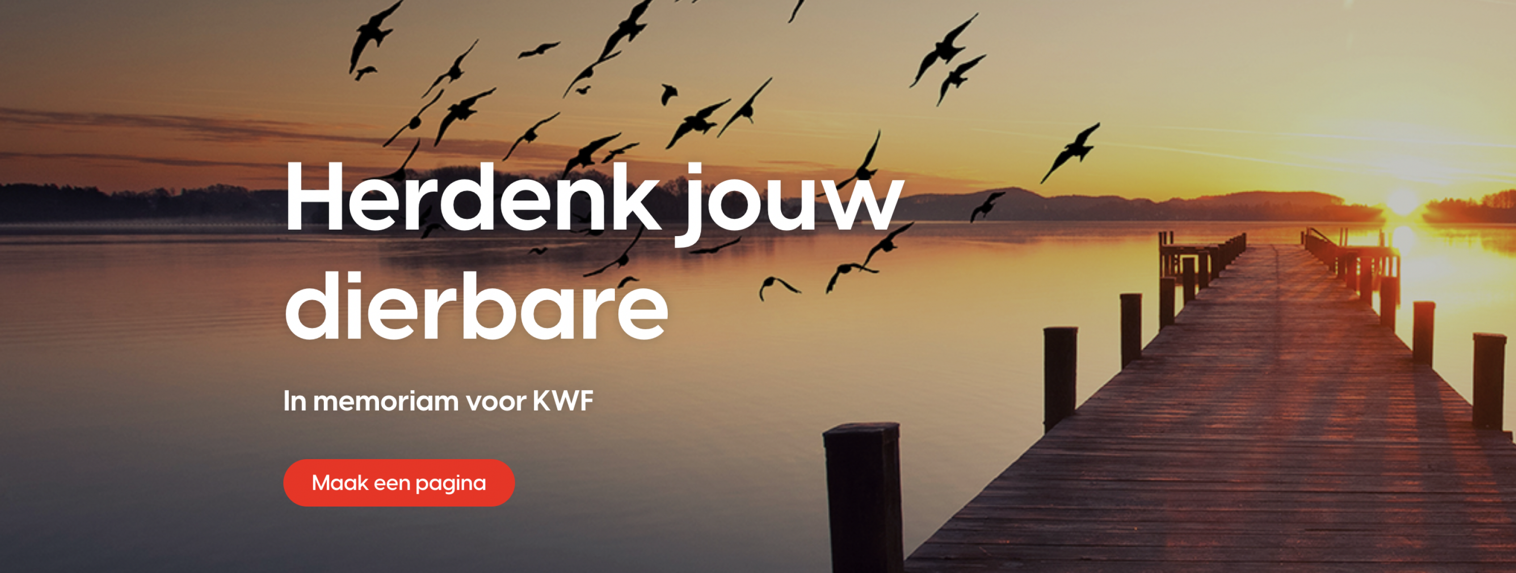 Ontdek het gratis In Memoriam-platform van KWF