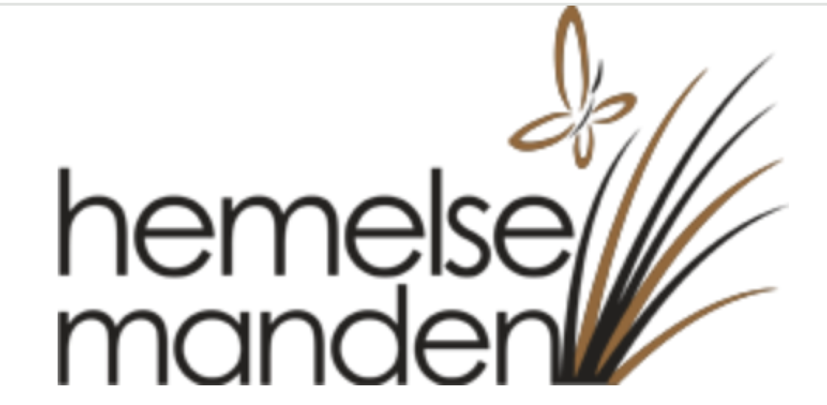 Hemelse manden