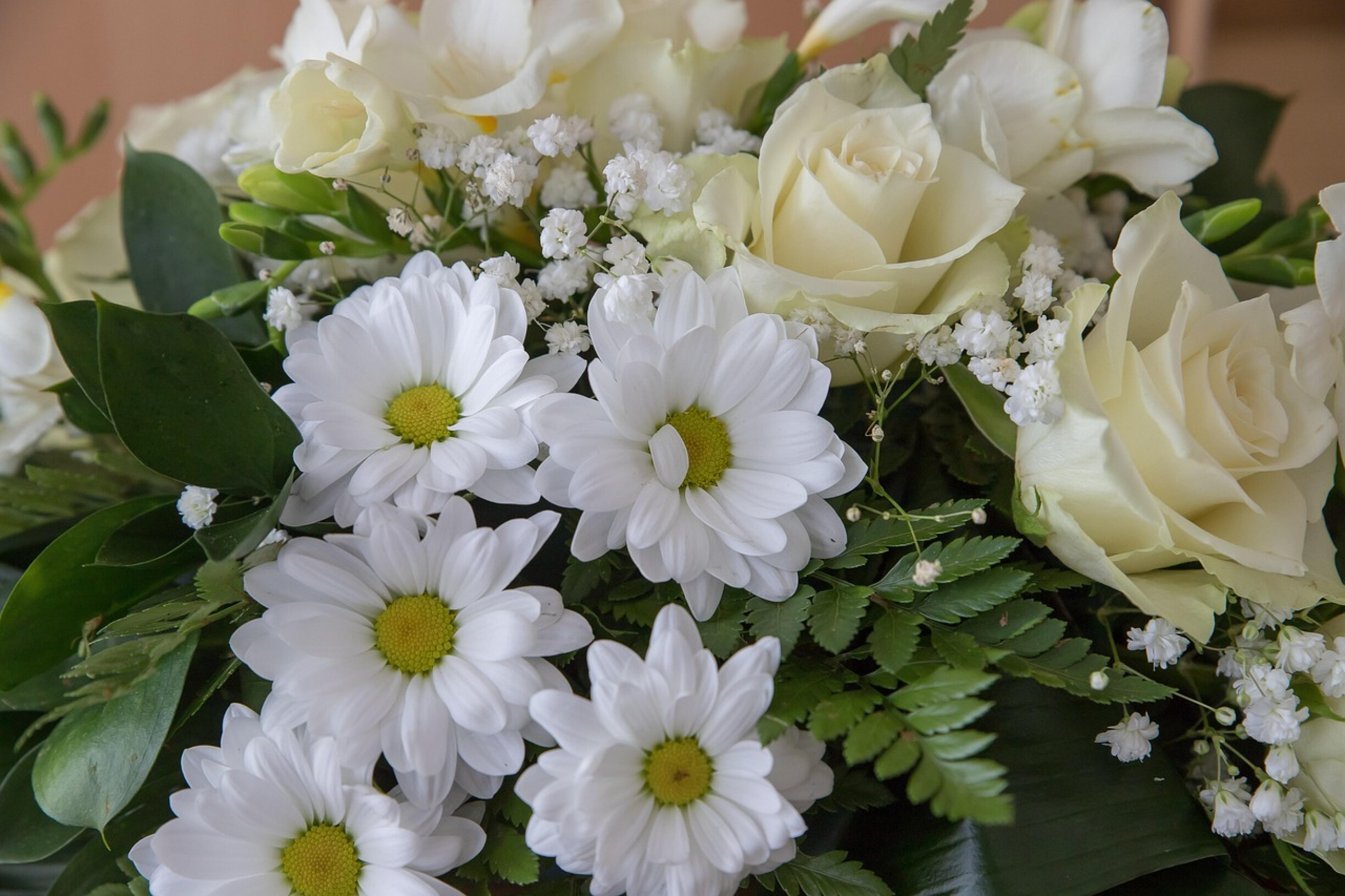 flowers-3990696_1280.jpg
