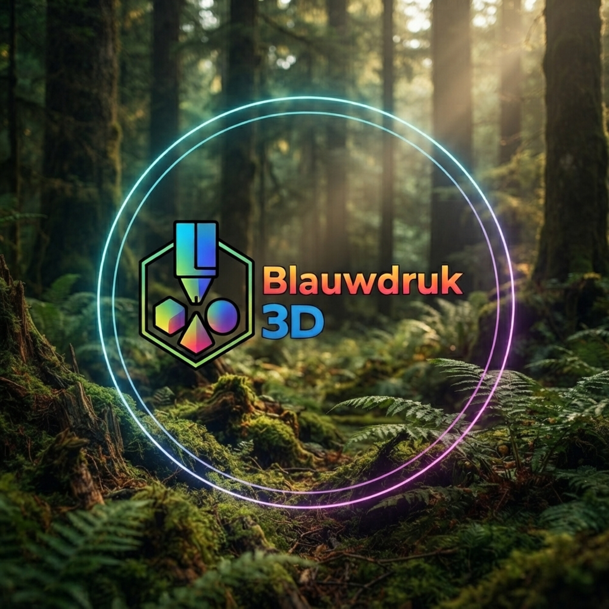 Blauwdruk 3D