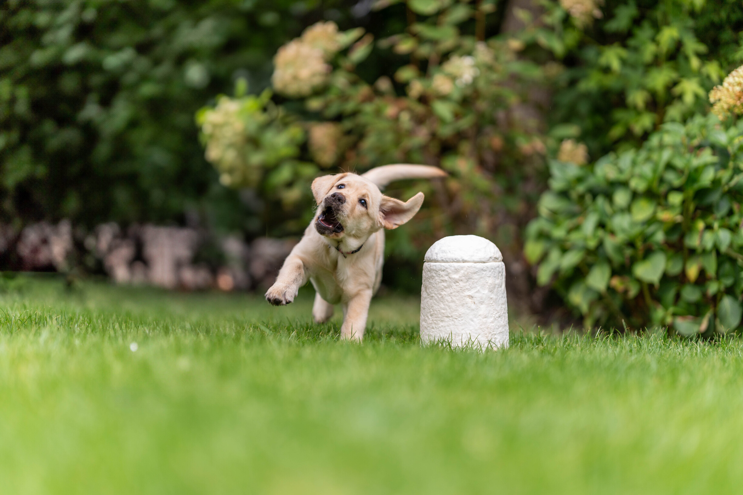 2025_09_17_Loop-Furever-9.jpg
