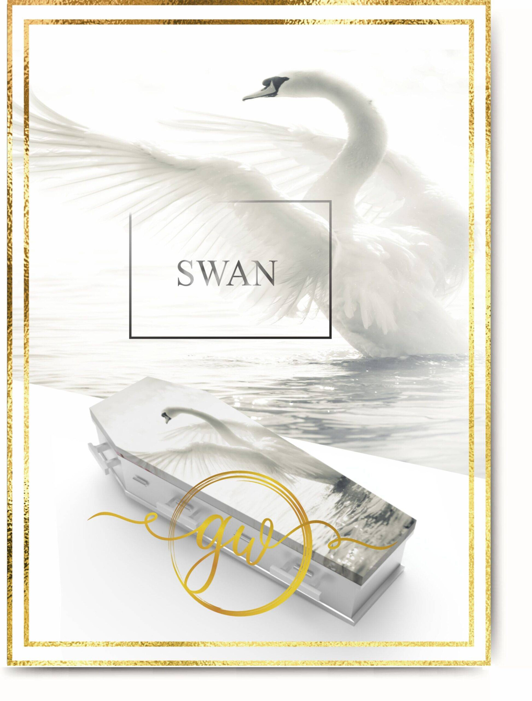 Swan22-scaled.jpg